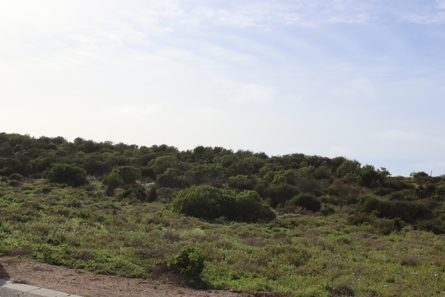 0 Bedroom Property for Sale in Shelley Point Western Cape